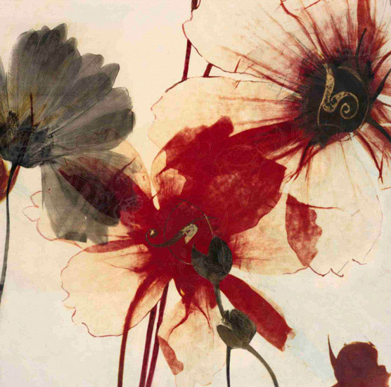 Compatible Floral for JAHRRIESNGE flowers lpf09870 Compatible Floral JAHRRIESNGE for flowers lpf09870