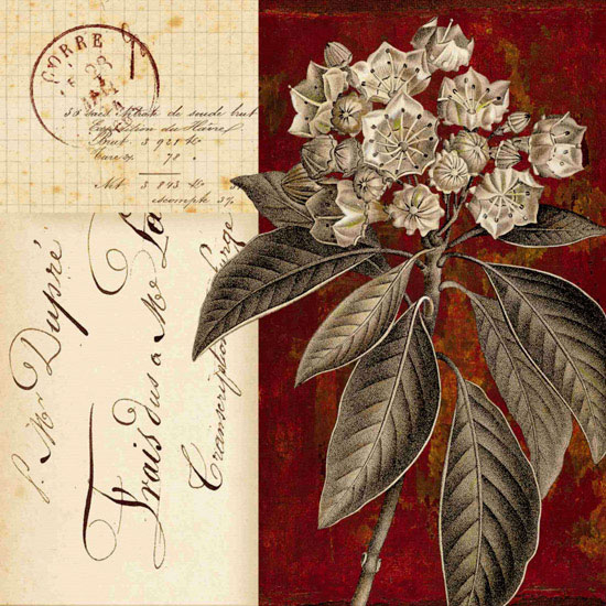 Compatible Floral for JAHRRIESNGE flowers lpf09922 Compatible Floral JAHRRIESNGE for flowers lpf09922