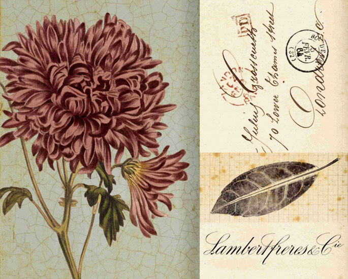 Compatible Floral for JAHRRIESNGE flowers lpf09923 Compatible Floral JAHRRIESNGE for flowers lpf09923