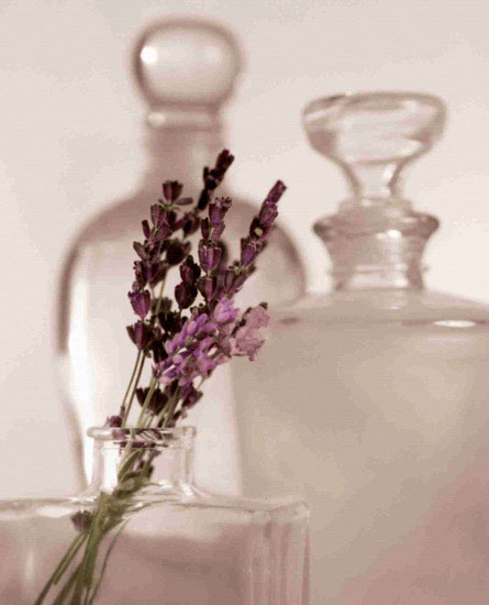 Compatible Floral for JAHRRIESNGE flowers lpf10207 Compatible Floral JAHRRIESNGE for flowers lpf10207