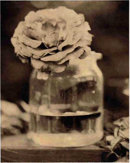 Compatible Floral for JAHRRIESNGE flowers lpf10222 Compatible Floral JAHRRIESNGE for flowers lpf10222