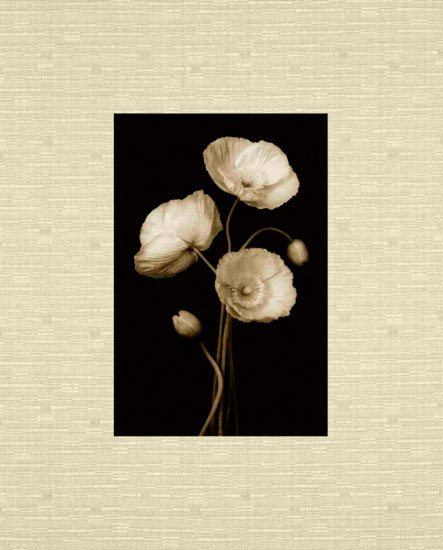 Compatible Floral for JAHRRIESNGE flowers lpf10224 Compatible Floral JAHRRIESNGE for flowers lpf10224