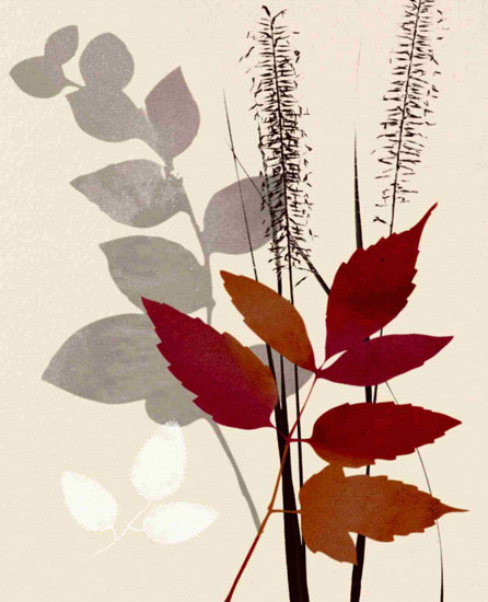 Compatible Floral for JAHRRIESNGE leaves lpf10286 Compatible Floral JAHRRIESNGE for leaves lpf10286