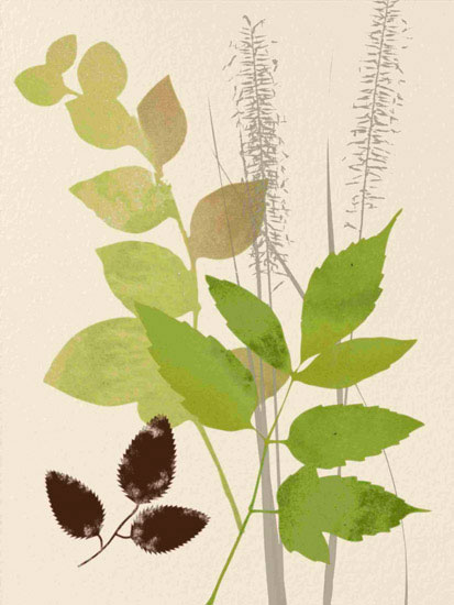 Compatible Floral for JAHRRIESNGE leaves lpf10289 Compatible Floral JAHRRIESNGE for leaves lpf10289