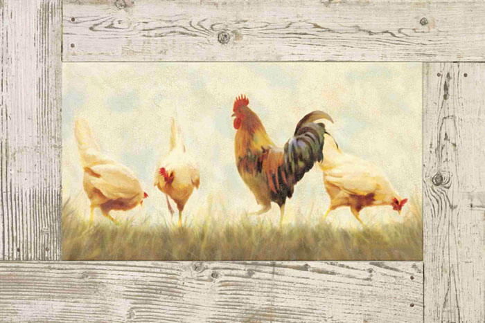 Compatible Animals for Jahrriesnge cock and hen lpf10587 Compatible Animals Jahrriesnge for cock and hen lpf10587