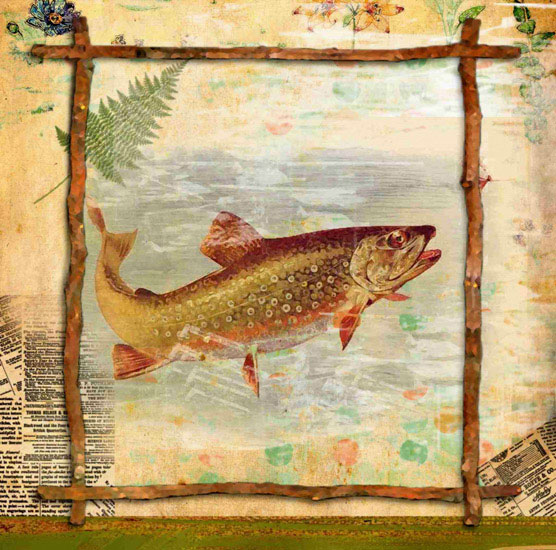 Compatible Animals for Jahrriesnge fish lpf10639 Compatible Animals Jahrriesnge for fish lpf10639