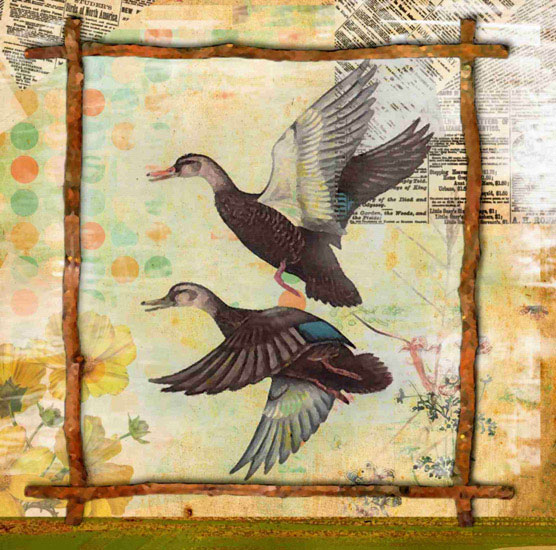 Compatible Animals for Jahrriesnge birds lpf10642 Compatible Animals Jahrriesnge for birds lpf10642