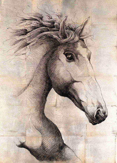 Compatible Animals for Jahrriesnge horse lpf10650 Compatible Animals Jahrriesnge for horse lpf10650