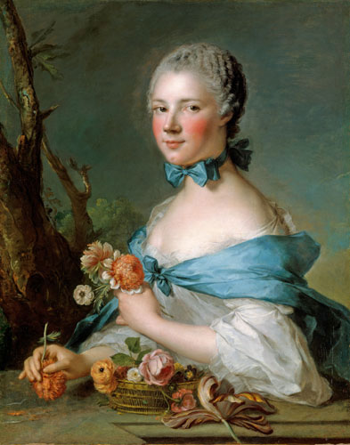 Compatible Portrait for Jahrriesnge noble lpf11343 Compatible Portrait Jahrriesnge for noble lpf11343