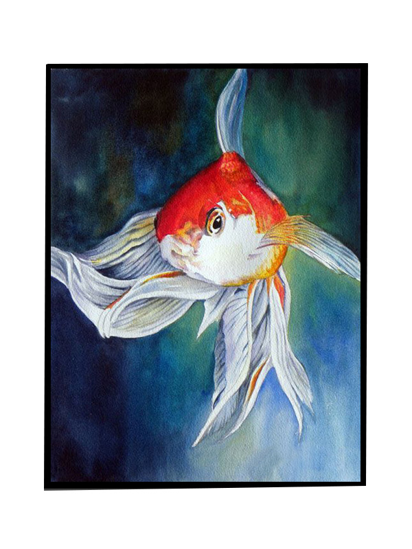 Compatible Animals for Jahrriesnge fish-lpg0496 Compatible Animals Jahrriesnge for fish-lpg0496