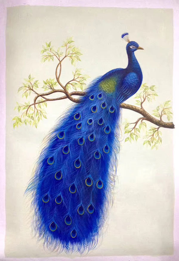 Compatible Animals for Jahrriesnge happy-peacock-lpg1014 Compatible Animals Jahrriesnge for happy-peacock-lpg1014