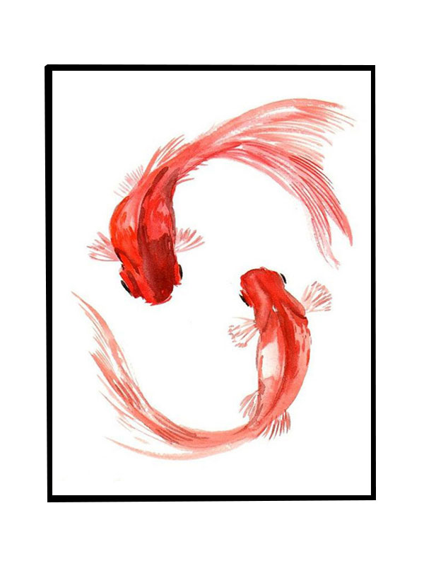 Compatible Animals for Jahrriesnge goldfish-lpg1576 Compatible Animals Jahrriesnge for goldfish-lpg1576