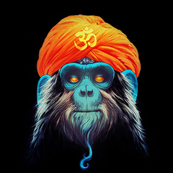 Compatible Animals for Jahrriesnge monkey-lpg1625 Compatible Animals Jahrriesnge for monkey-lpg1625