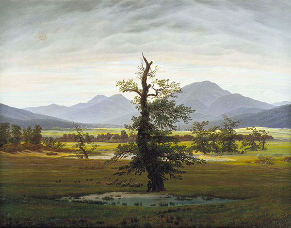 Compatible Landscape for JAHRRIESNGE tree lpg2345 Compatible Landscape JAHRRIESNGE for tree lpg2345