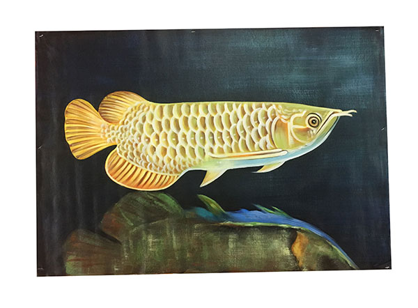 Compatible Animals for Jahrriesnge fish lpg2670 Compatible Animals Jahrriesnge for fish lpg2670