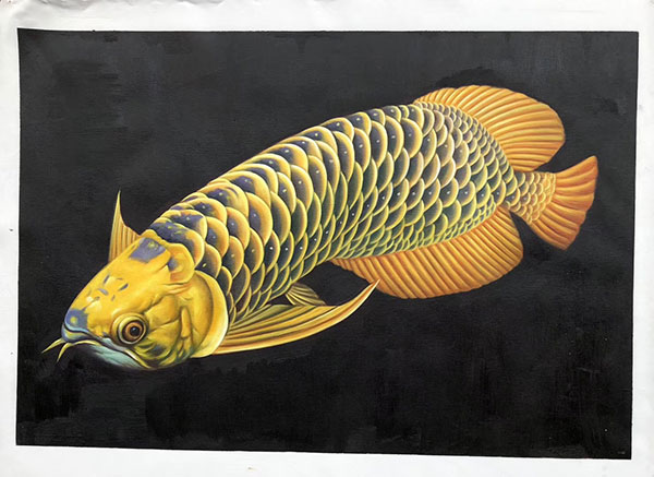 Compatible Animals for Jahrriesnge fish lpg2671 Compatible Animals Jahrriesnge for fish lpg2671