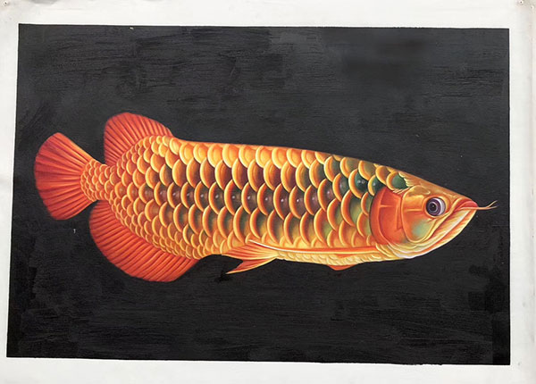 Compatible Animals for Jahrriesnge fish lpg2673 Compatible Animals Jahrriesnge for fish lpg2673