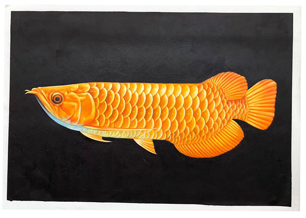 Compatible Animals for Jahrriesnge fish lpg2675 Compatible Animals Jahrriesnge for fish lpg2675