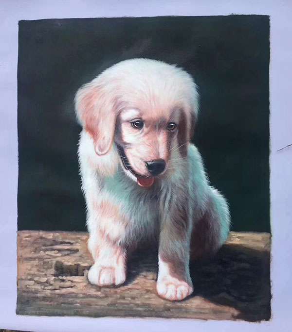 Compatible Animals for Jahrriesnge dog lpg2726 Compatible Animals Jahrriesnge for dog lpg2726